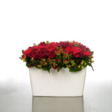 New Zealand Flower Arrangements New Zealand,:Velvet Red Polystone Vase